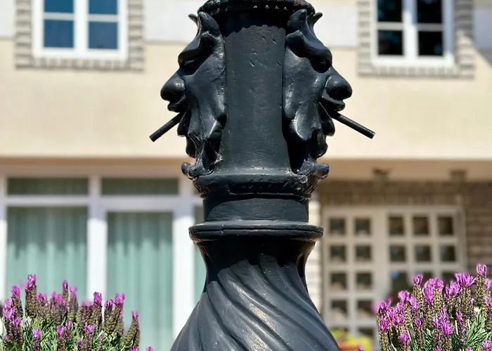 Ello Veszprém